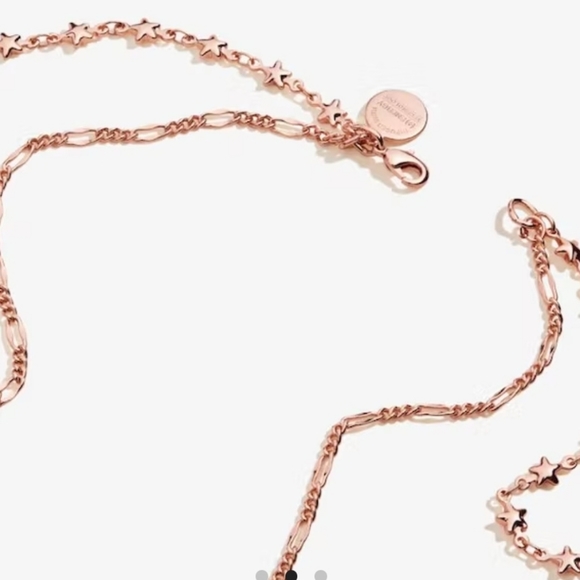 Alex and Ani Crescent Moon Multi-Charm Layered Necklace